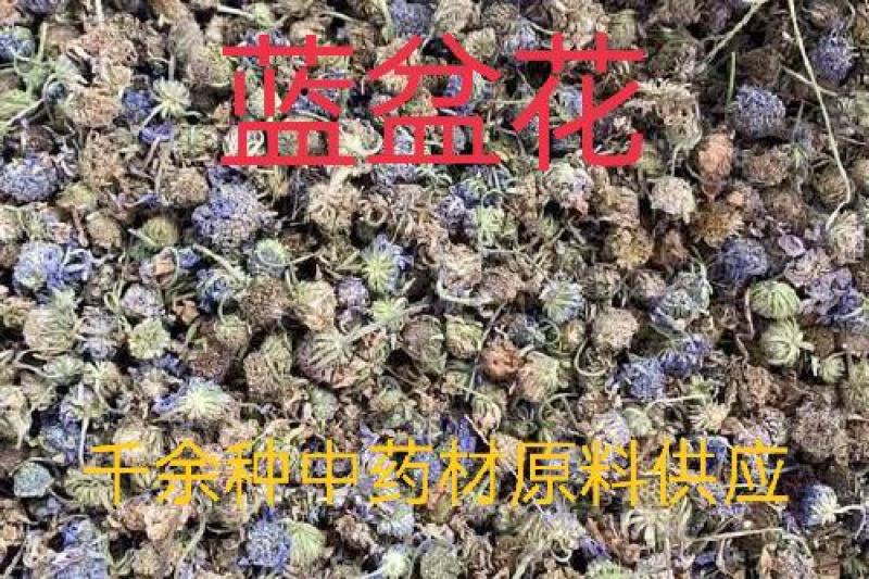 中药材蓝盆花蒙药质量保证经营各种中药材欢迎咨询选购！