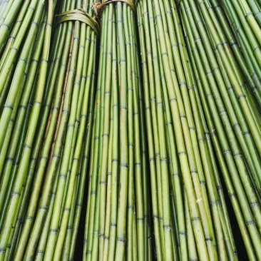 冬瓜竹竿、蔬菜搭架竹竿4米长竹竿竹竿厂家可定制
