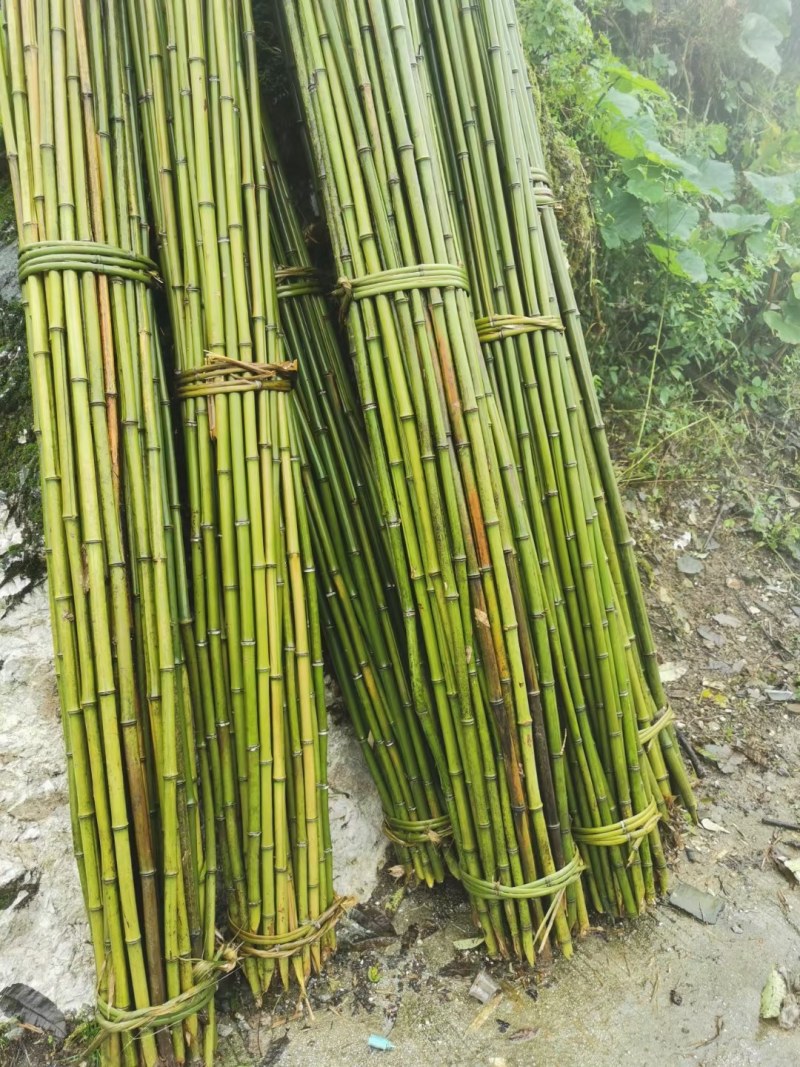 冬瓜竹竿、蔬菜搭架竹竿4米长竹竿竹竿厂家可定制