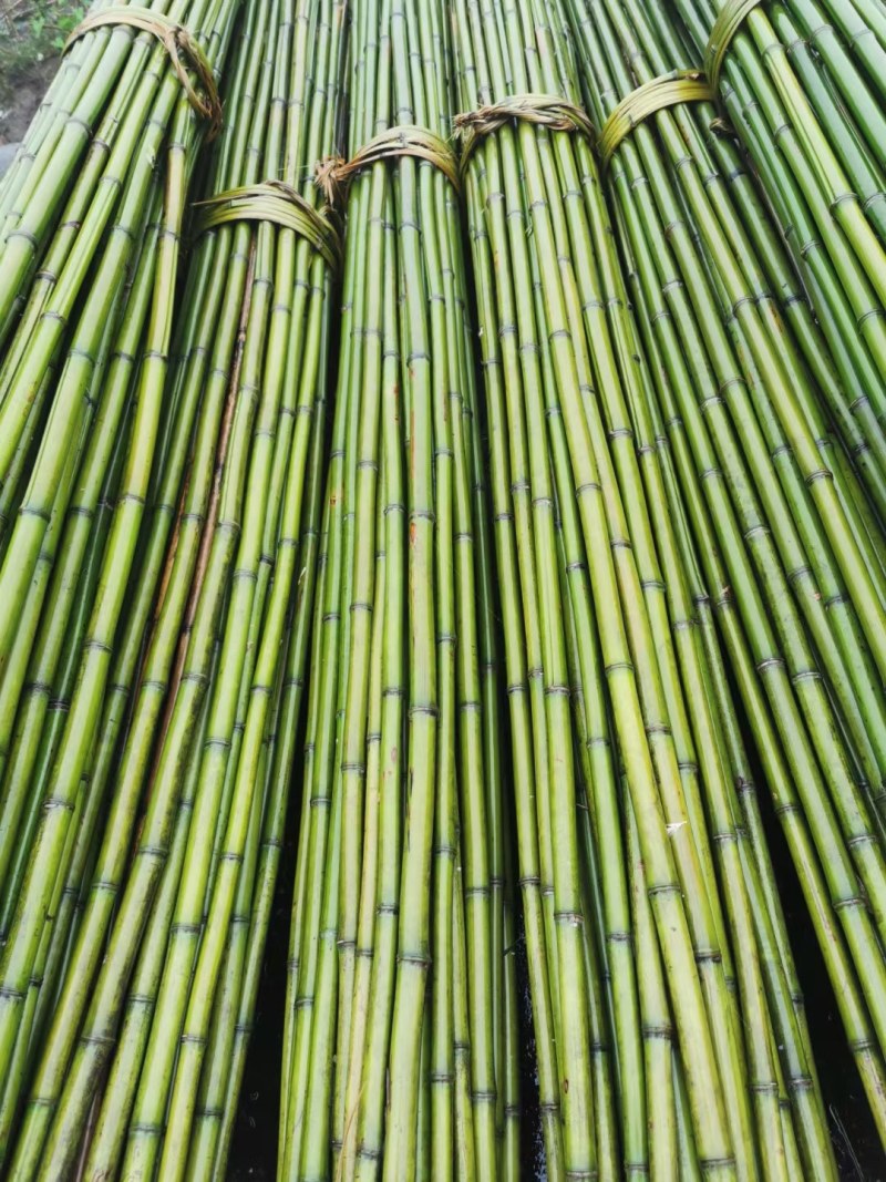 冬瓜竹竿、蔬菜搭架竹竿4米长竹竿竹竿厂家可定制