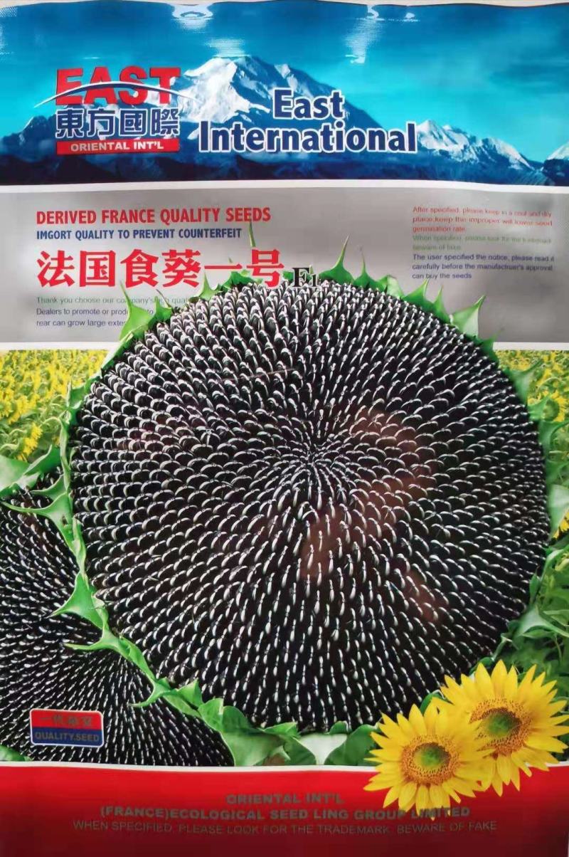 法国食葵一号葵花种子，200克