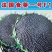 法国食葵一号葵花种子，200克