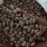 云南花豆2021年新货奶花豆精品货种子货大货供应