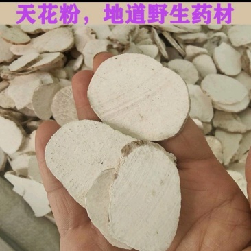 天花粉