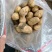 山东荷兰十五土豆，个头大，批发价格产地直销，全国发货
