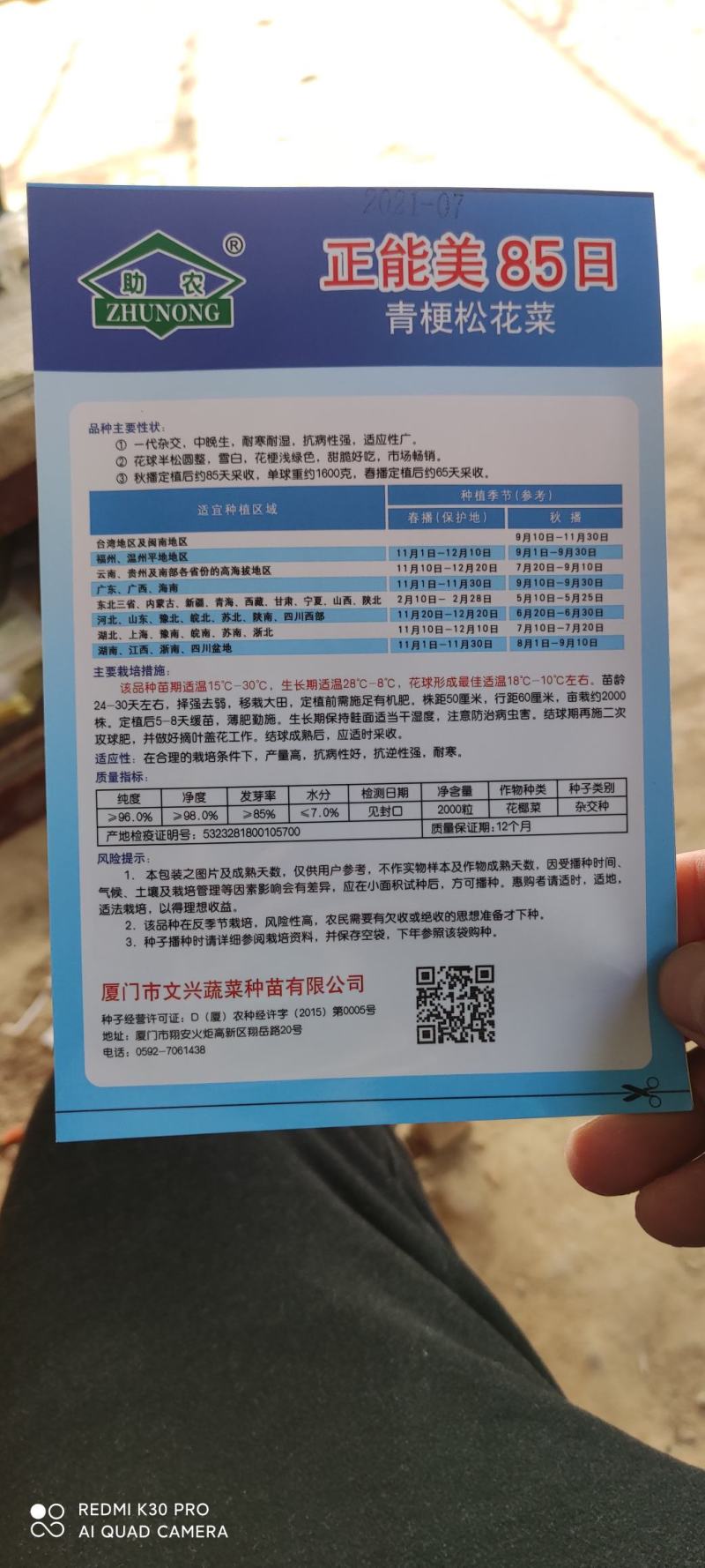 有机花菜，松花菜种子，抗病高产，耐寒，可越冬花菜种子，