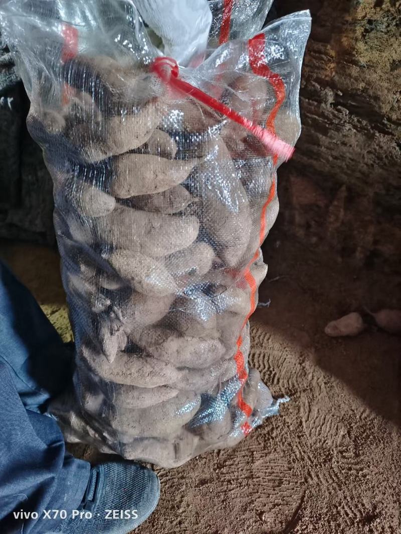 山东紫薯批发市场，基地直销批发货源充足，一手货源