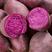 紫薯大量供应丘陵沙地紫罗兰红薯产地直销货源充足