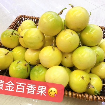 #大量出售黄金百香果