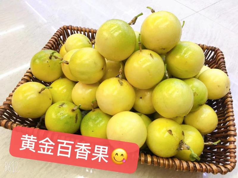 #大量出售黄金百香果