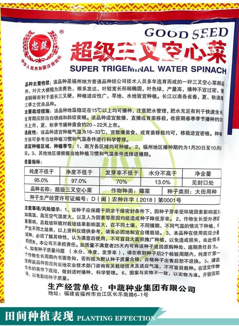 中蔬三叉空心菜种子，一籽三叉空心菜新品种,叶片大梗粗为淡