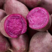 紫薯大量供应丘陵沙地紫罗兰红薯产地直销货源充足