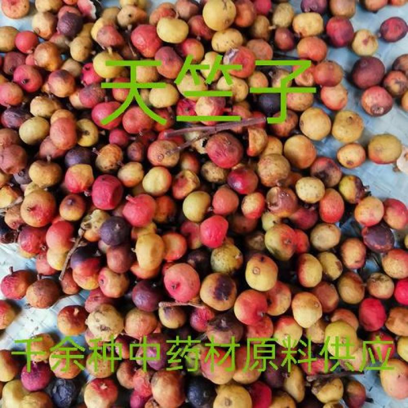 中药材天竹子天竺子供应质量保证欢迎咨询选购！