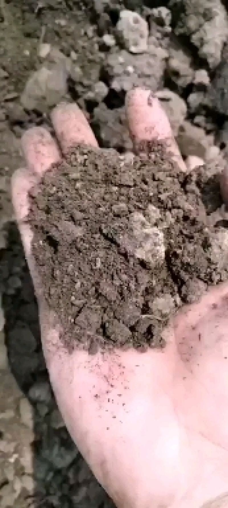 纯发酵鸡粪，干鸡粪，质量保证，需要的联系，