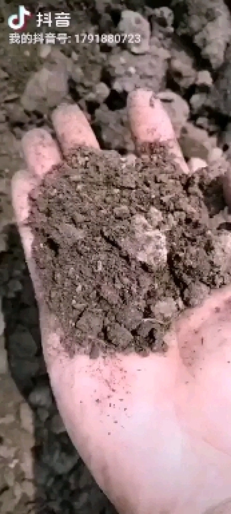 纯发酵鸡粪，干鸡粪，质量保证，需要的联系，