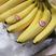 进口菲律宾香蕉，价格低，质量保证，无黑心，坏果包赔