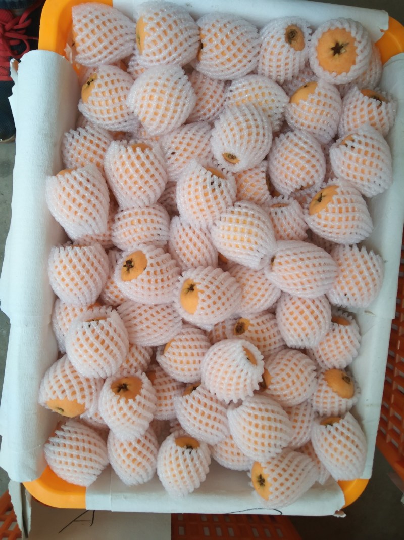 汉源五星枇杷，果大皮薄，肉厚，汁液，化渣，味甜欢迎咨询，