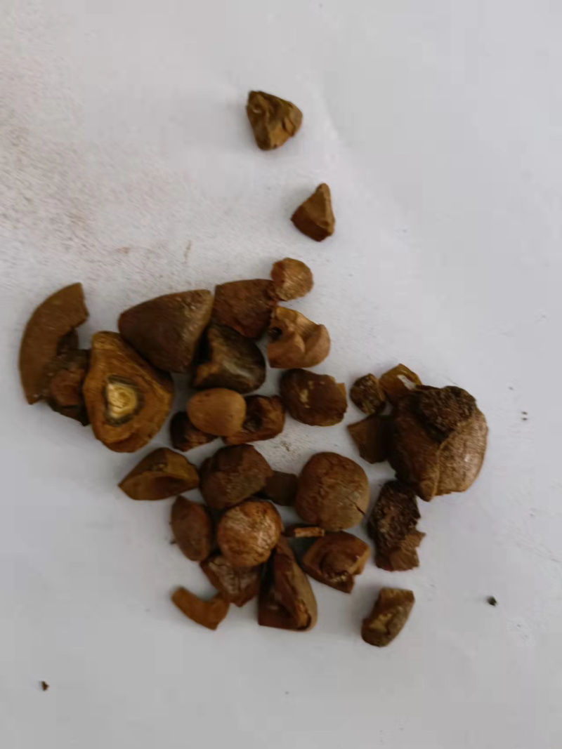 牛黄天然牛黄正宗天然牛胆黄粉牛结石包邮