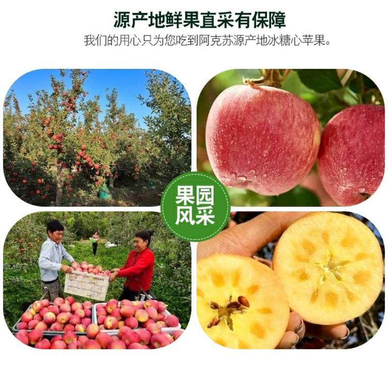 【内地发货】新疆阿克苏冰糖心红富士苹果一件代发供直播团购