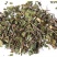 中药材桑寄生货品质量保证批发各种中药材