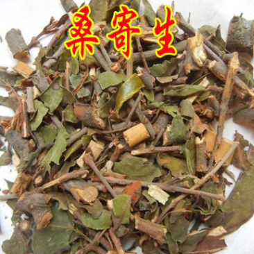 中药材桑寄生货品质量保证批发各种中药材
