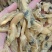 蛏子干，大量新货，干度好，淡干的不咸，无任何杂质，
