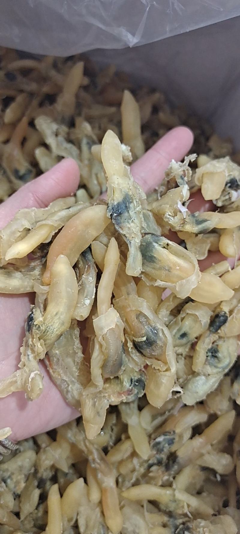 蛏子干，大量新货，干度好，淡干的不咸，无任何杂质，