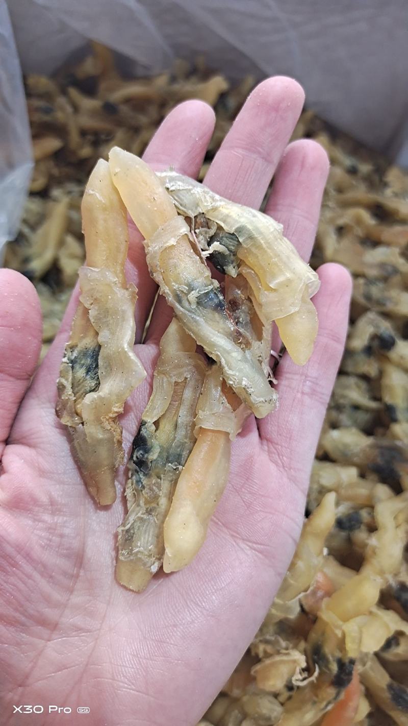 蛏子干，大量新货，干度好，淡干的不咸，无任何杂质，