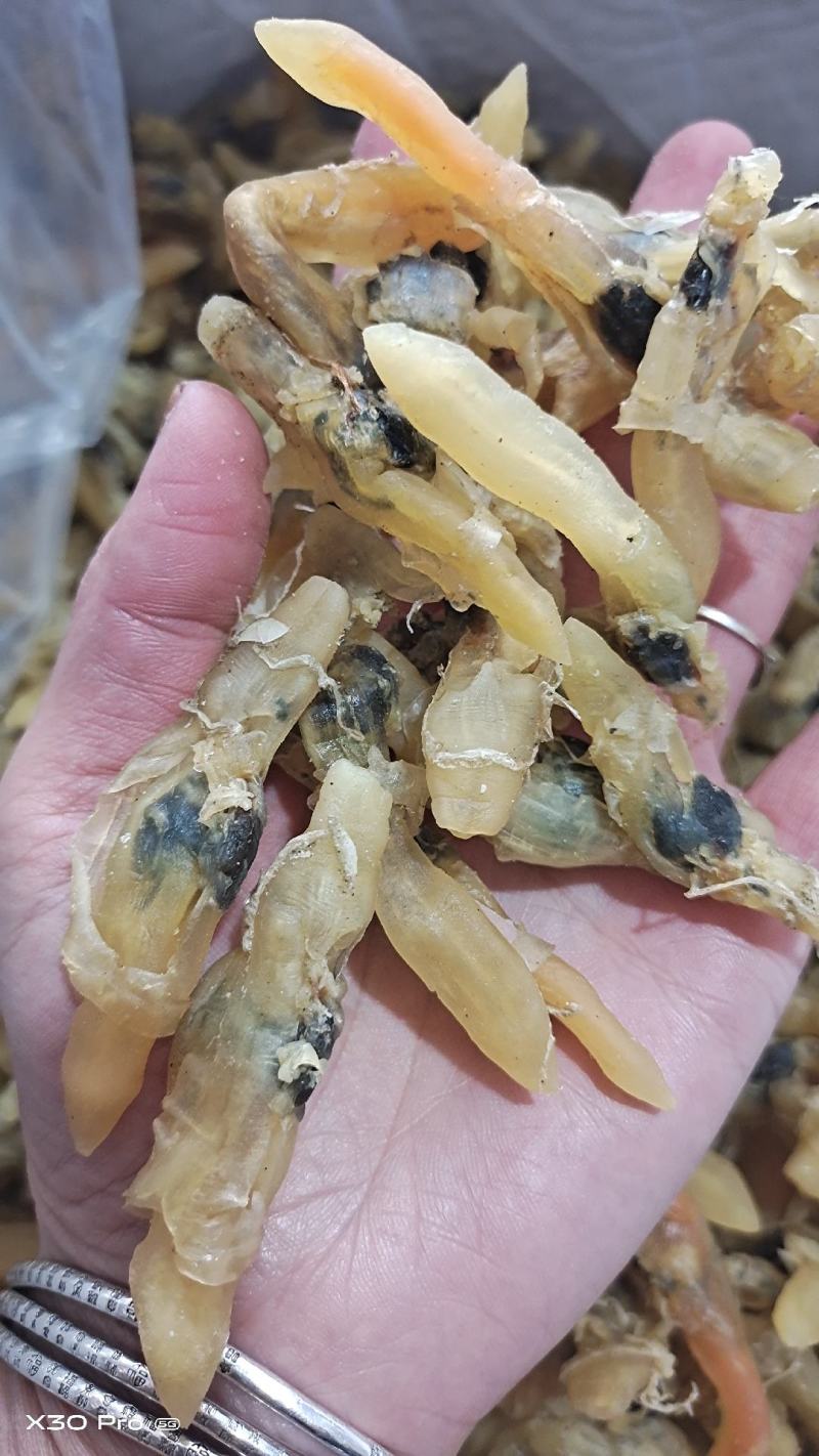 蛏子干，大量新货，干度好，淡干的不咸，无任何杂质，