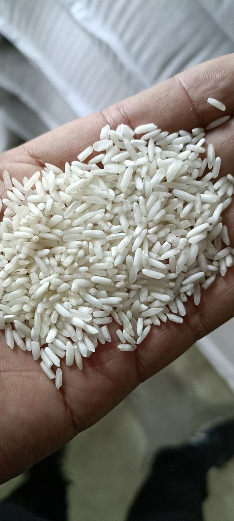 湖南大米食堂专用米无黄无黑无异味大量现货保质保量
