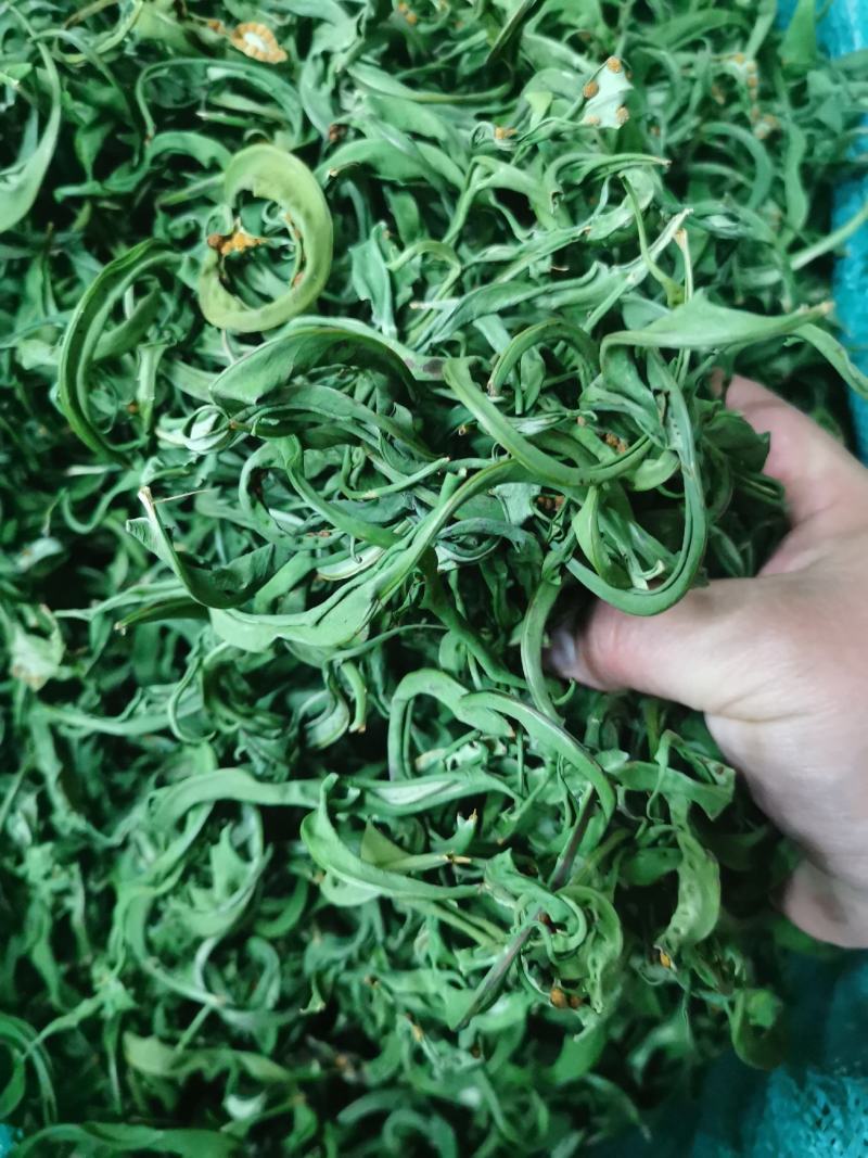 中叶精品化石草、肾精茶、猫须草产地大货批发，真正精品货源