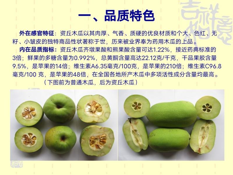 资丘木瓜苗皱皮无籽木瓜苗长阳木瓜苗