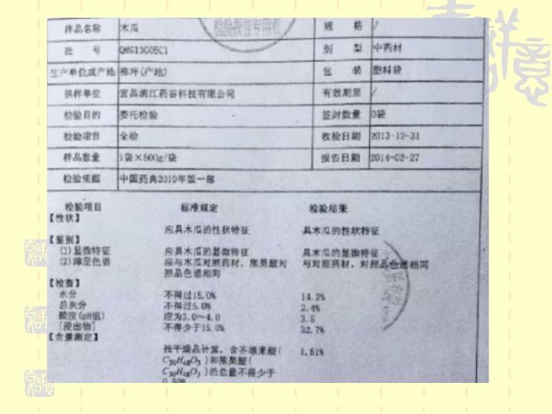 资丘木瓜苗皱皮无籽木瓜苗长阳木瓜苗