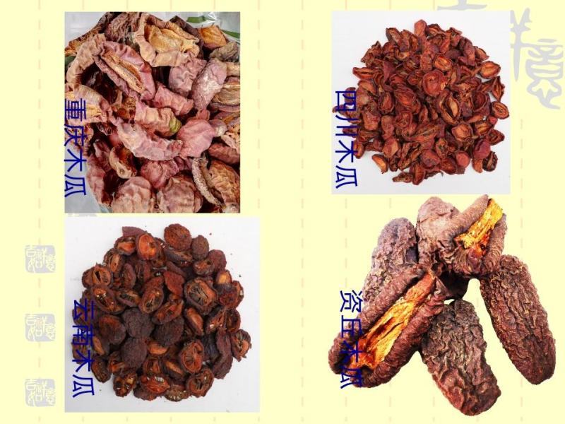 资丘木瓜苗皱皮无籽木瓜苗长阳木瓜苗