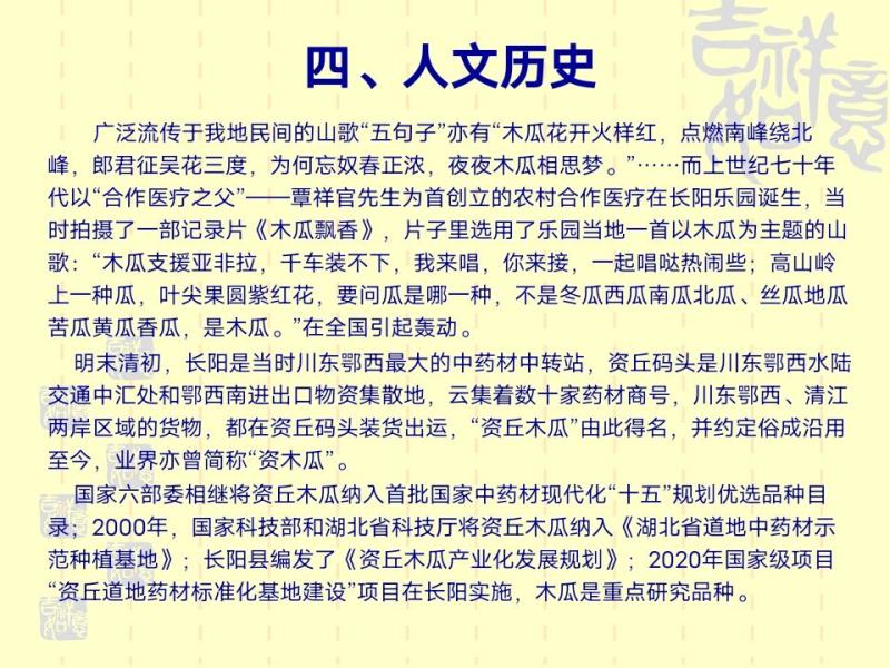 资丘木瓜苗皱皮无籽木瓜苗长阳木瓜苗