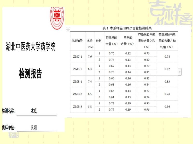 资丘木瓜苗皱皮无籽木瓜苗长阳木瓜苗