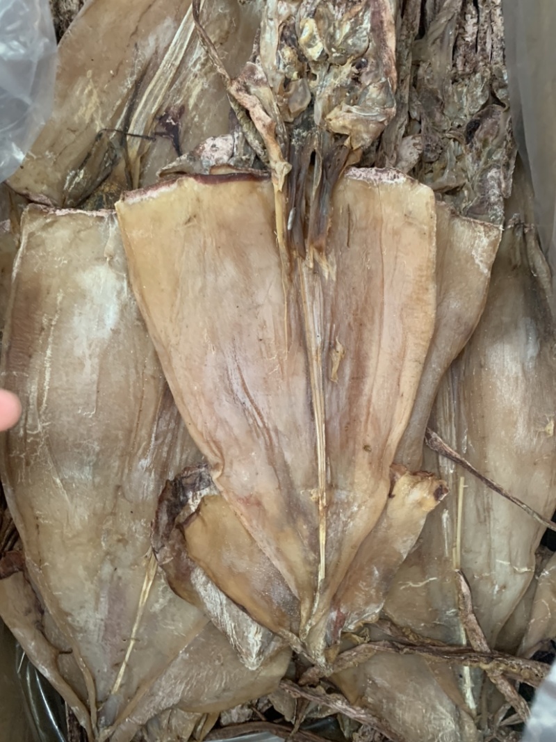 好货推荐大鱿鱼水发鱿鱼纯淡干有头无头微盐鱿鱼