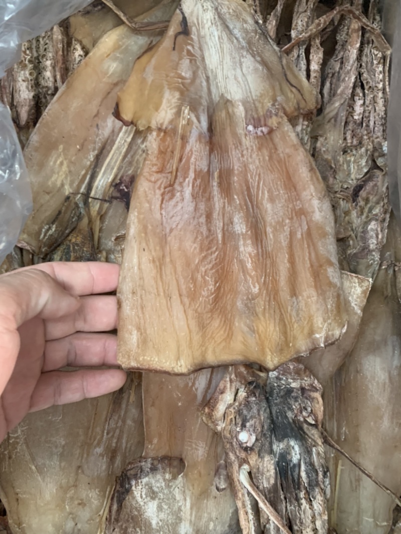 好货推荐大鱿鱼水发鱿鱼纯淡干有头无头微盐鱿鱼