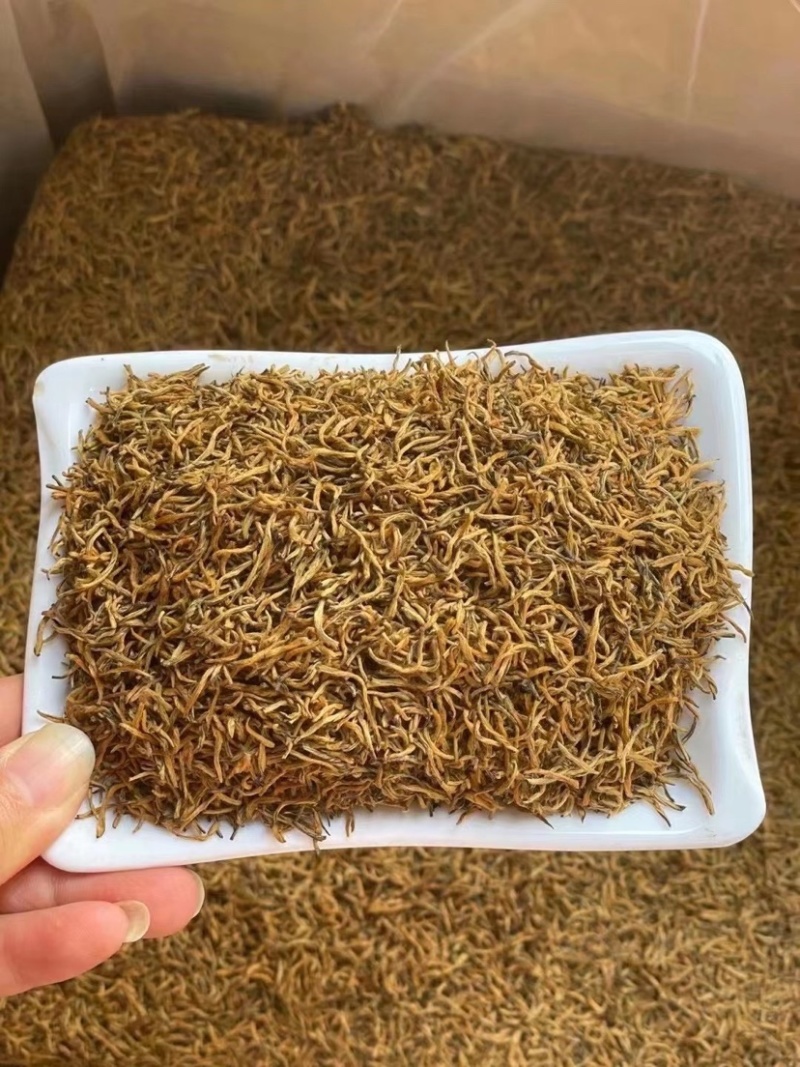 500克批发金骏眉红茶头芽头春金芽