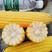中苗珍甜368水果玉米种子鲜食甜玉米种子香甜糖度高
