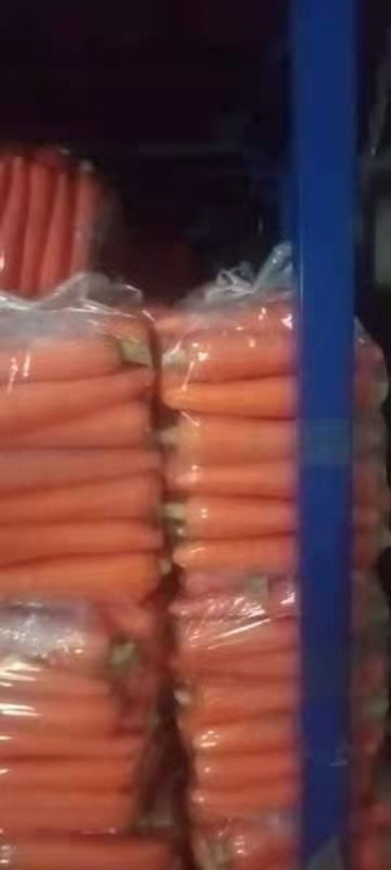 开封胡萝卜皮光色正水洗加工各种规格量大价优通许县基地直销