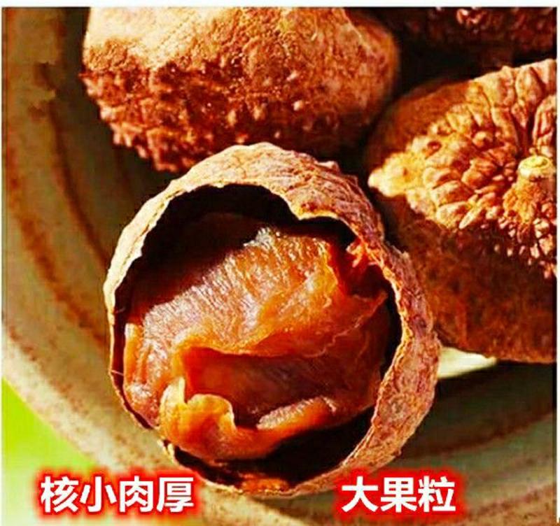 农家荔枝干核小肉厚香甜可口健康营养美味干货包邮