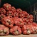 魔芋贵州遵义高海拔优质高淀粉花魔芋本地魔芋鲜魔芋