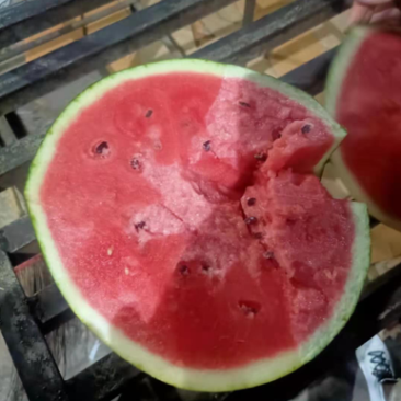 精品大甜王大量上市优质货源，诚信代办，畅销全国！