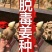 368高产脱毒姜种/二黄/小黄姜种产地直发/提供技术/