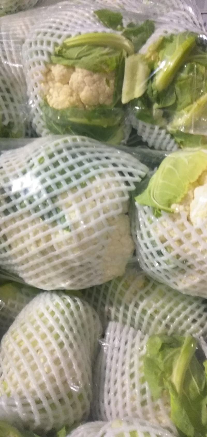 湖北省天门市有机花菜大量上市中需要的老板联系望长期合作。