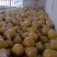 江永香柚，皮薄口感清甜，农户家一手货源，价钱美丽无中间商