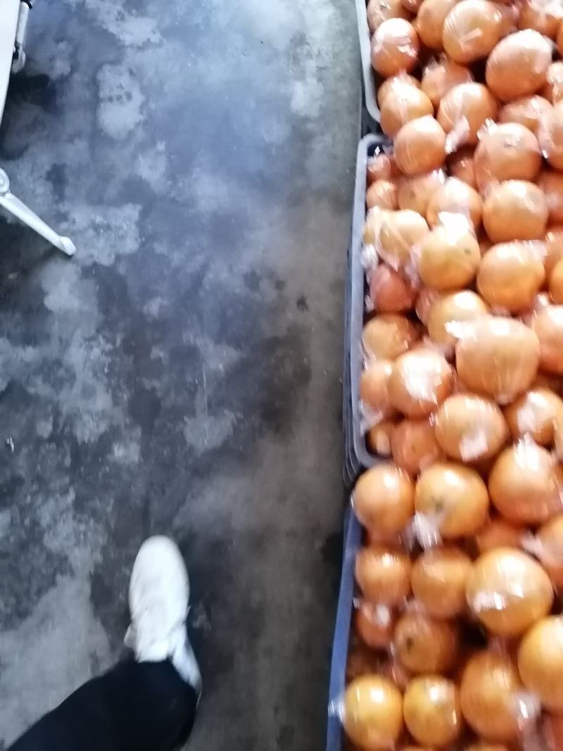 保鲜脐橙，赣南脐橙，香甜可口。皮薄肉多。糖度高。