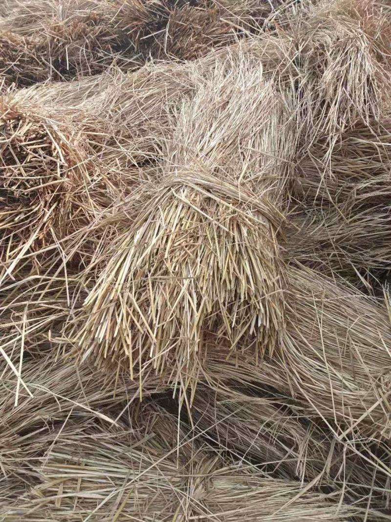 稻草小包稻草粉碎稻草柔丝稻草克拉斯粉碎稻草
