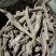 无硫白芷散装白芷，白芷。。。。。。。。